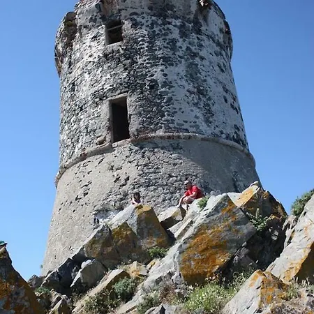 Daire F2 Les Cretes Du Golfe Ajaccio (Corsica)